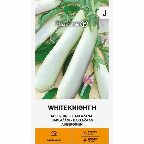 Munakoiso 'White knight' H