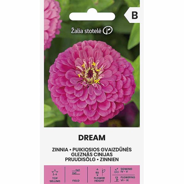 Zinnia 'Dream'
