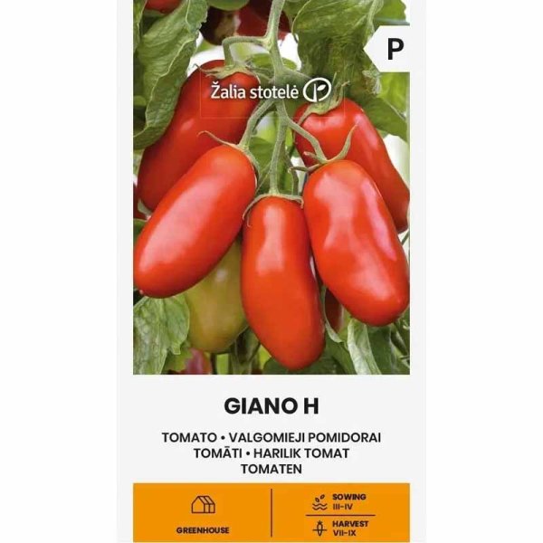 Tomaatti 'Giano' H