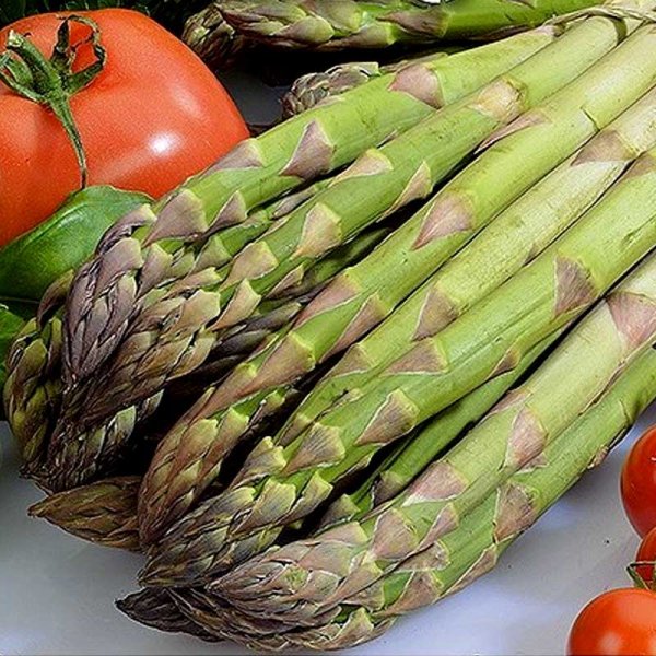 Parsa 'Mary Washington'