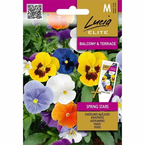 Orvokki 'Spring Stars'