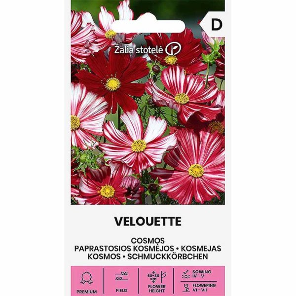 Kosmoskukka 'Velouette'
