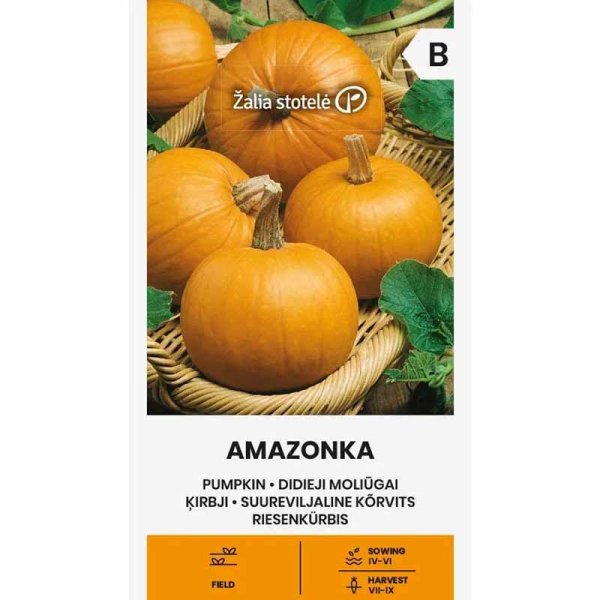Kurpitsa 'Amazonka'