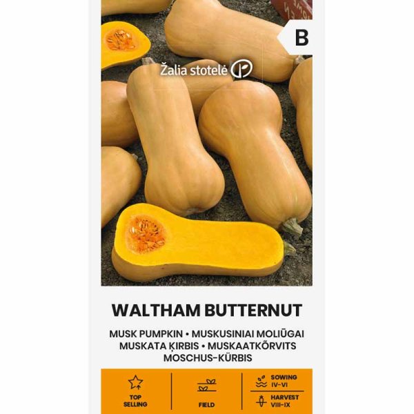 Myskikurpitsa 'Waltham Butternut'