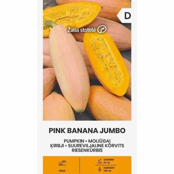 Jättikurpitsa 'Pink banana jumbo'
