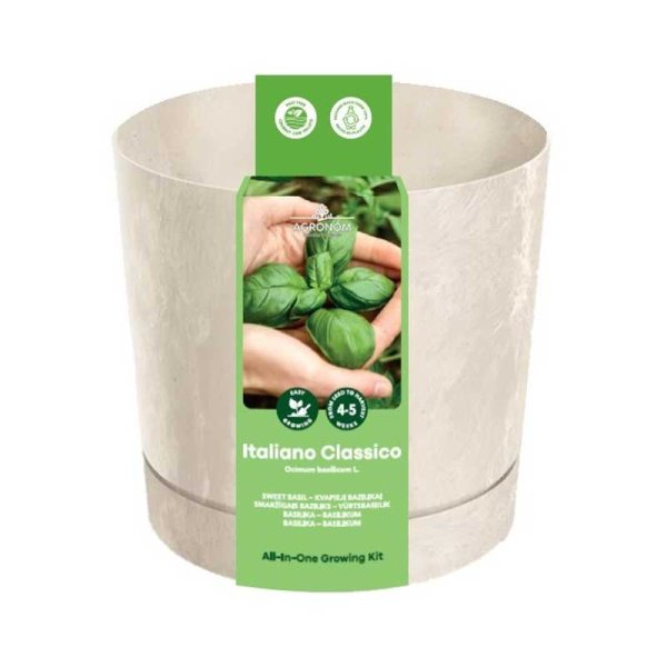 Kasvatuspakkaus Basilika 'Italiano Classico'
