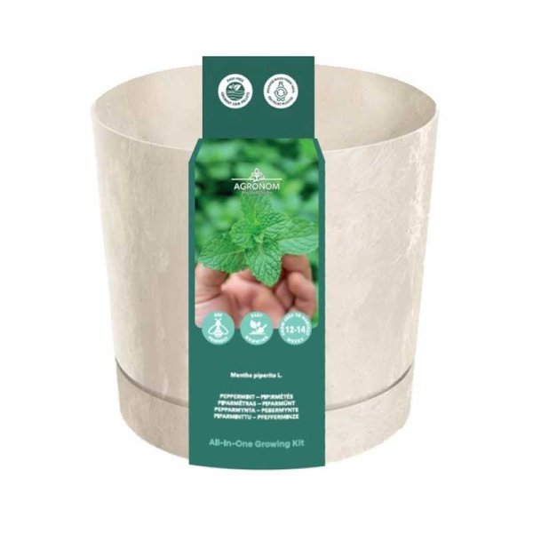 Kasvatuspakkaus Piparmintulle