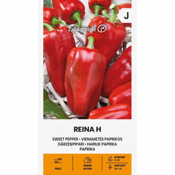 Paprika 'Reina' H