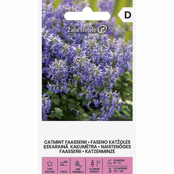 Kissanminttu 'Faasseni'