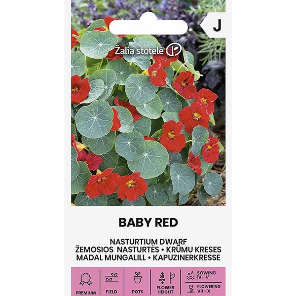 Kääpiökrassi 'Baby Red'