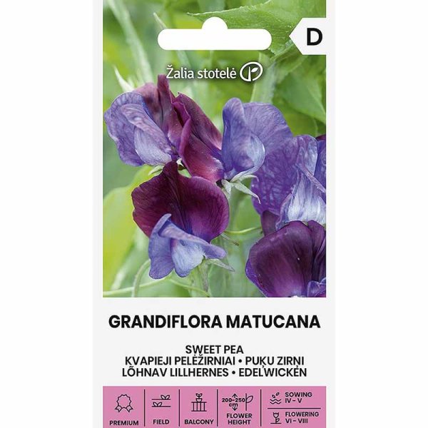 Tuoksuherne 'Grandiflora Matucana'