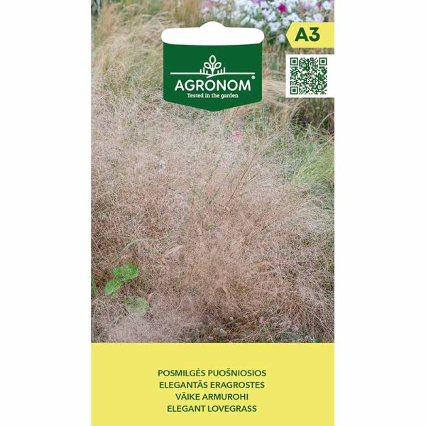 Elegantti Rakkausheinä