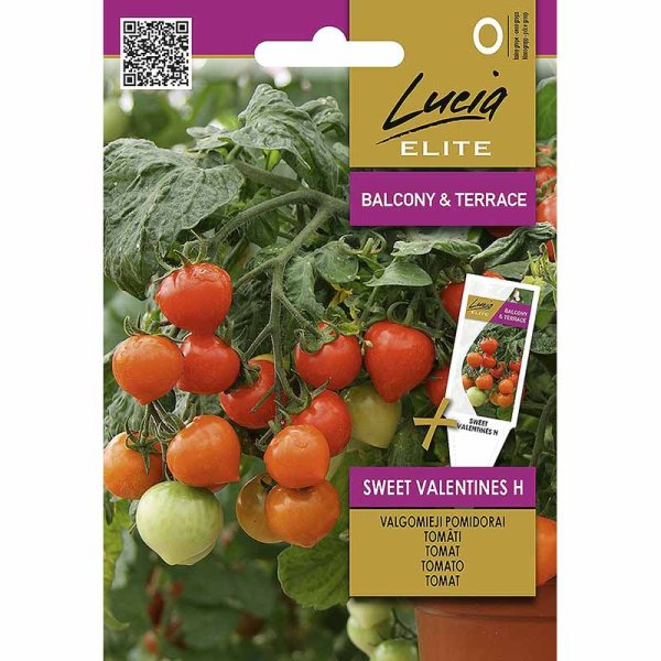 Tomaatti 'Sweet Valentines' H