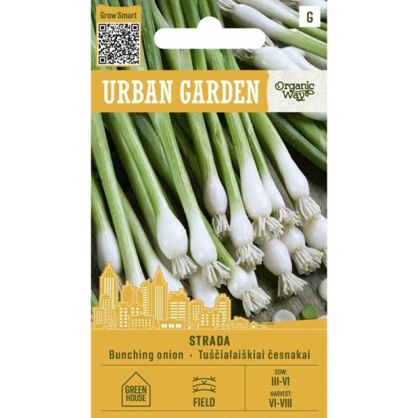 Talvisipuli ’Strada’