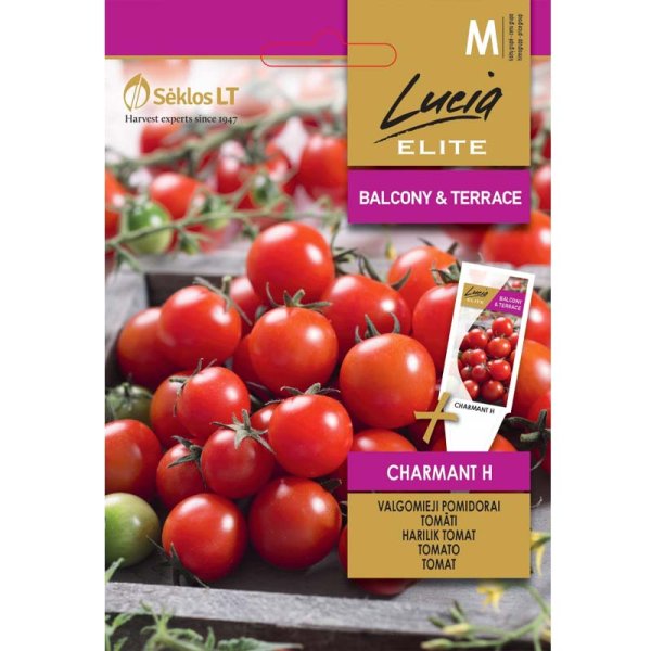 Kirsikkatomaatti 'Charmant' H