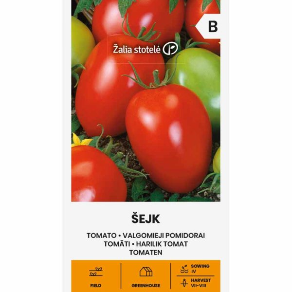 Tomaatti 'Šejk'