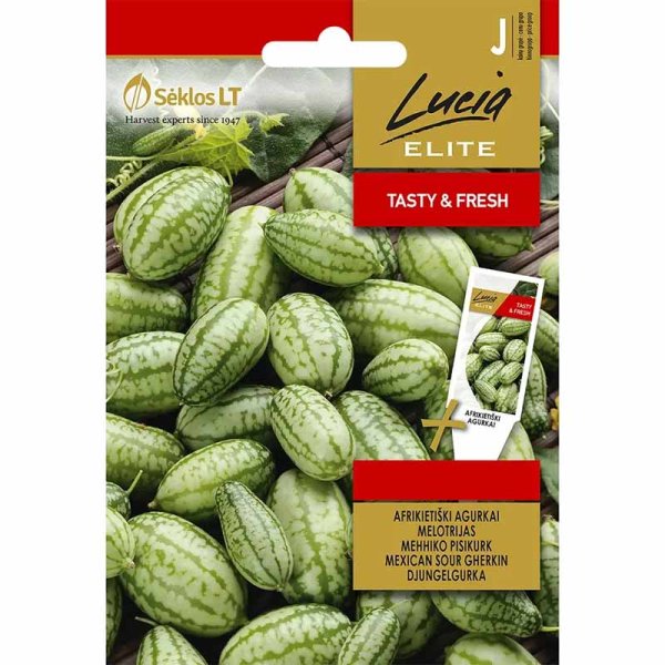 Mexican Sour Gherkin