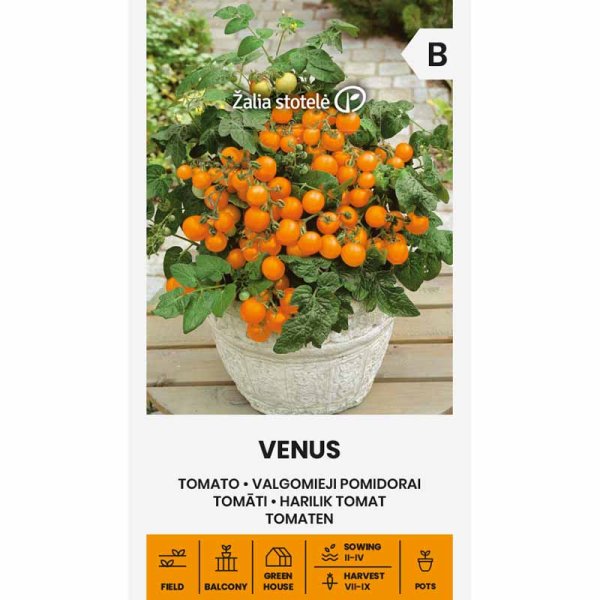 Tomaatti 'Venus'