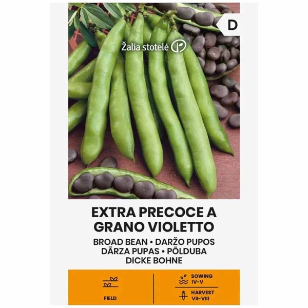 Härkäpapu 'Extra precoce a grano violetto'