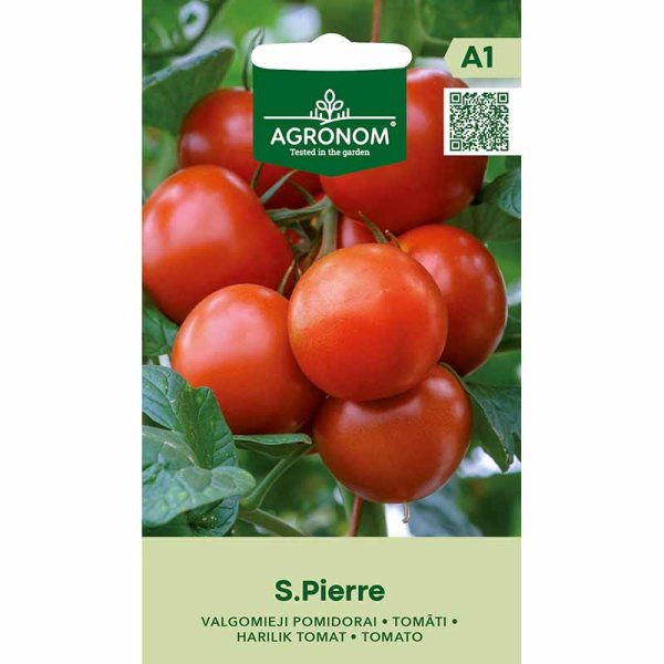 Tomaatti 'Saint Pierre'
