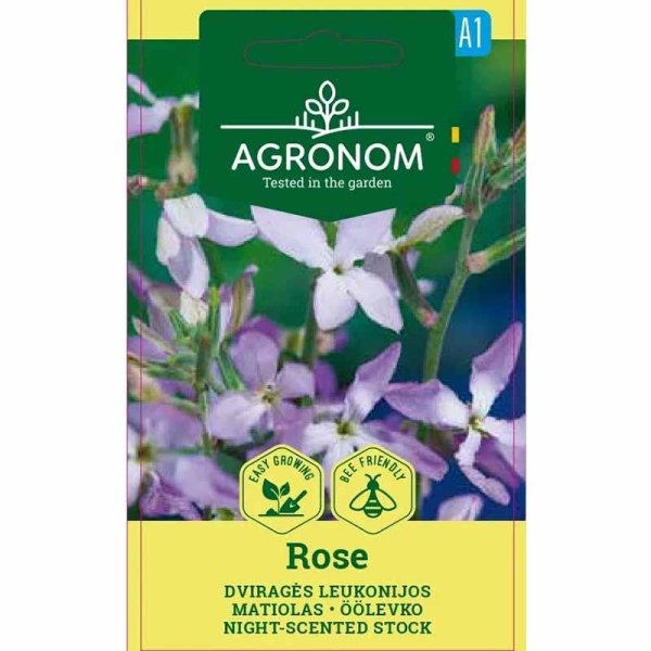 Kreikkalainen leukoija 'Rose'