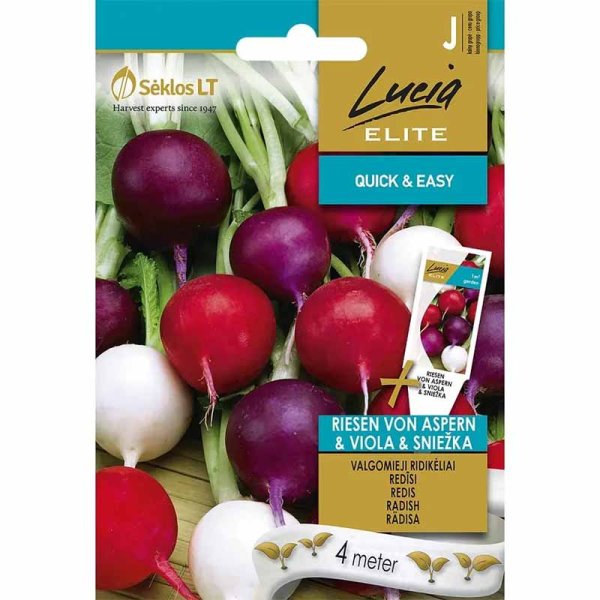 Retiisi 'Riesen Von Aspern Viola Sniežka'