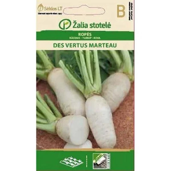 Naapikka 'Des Vertus Marteau'