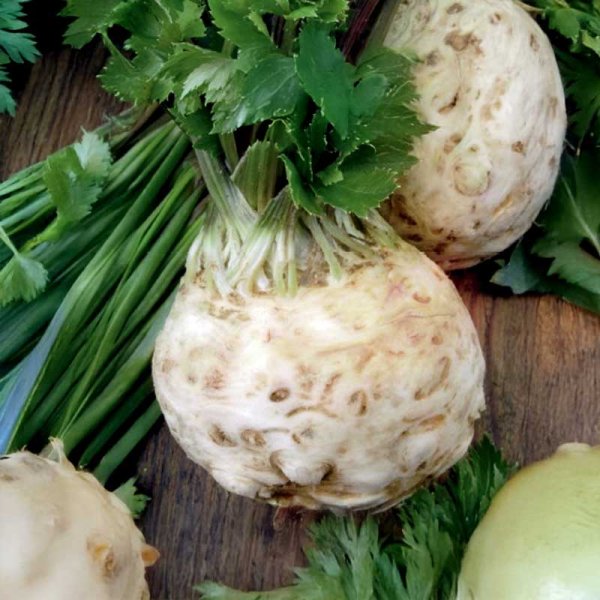 Juuriselleri 'Asterix' H