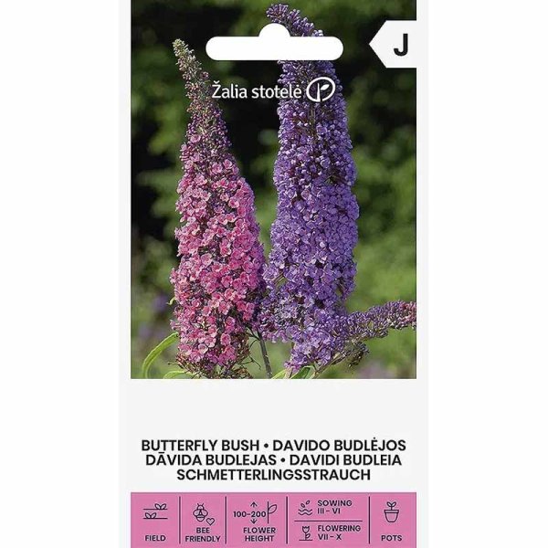 Syreenibuddleja