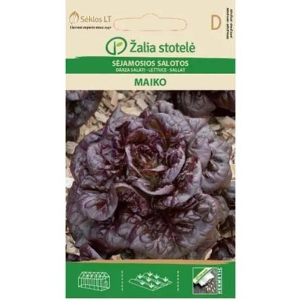 Lehtisalaatti 'Maiko'