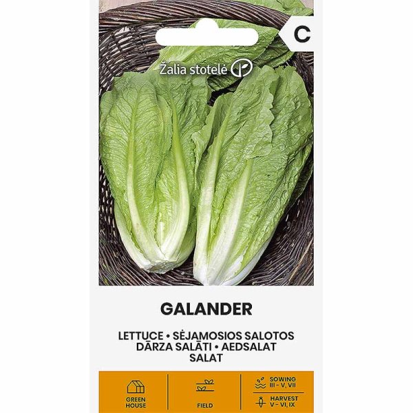 Roomansalaatti 'Galander'