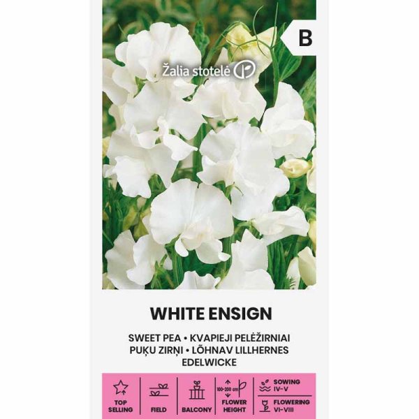 Tuoksuherne 'White Ensign'