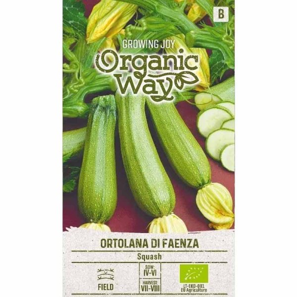 Kesäkurpitsa 'Ortolana di faenza'