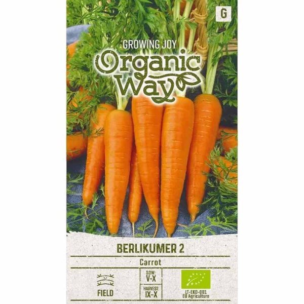 Porkkana 'Berlikumer 2'