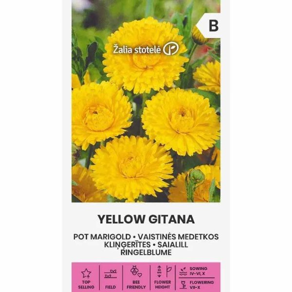 Kehäkukka 'Yellow gitana'