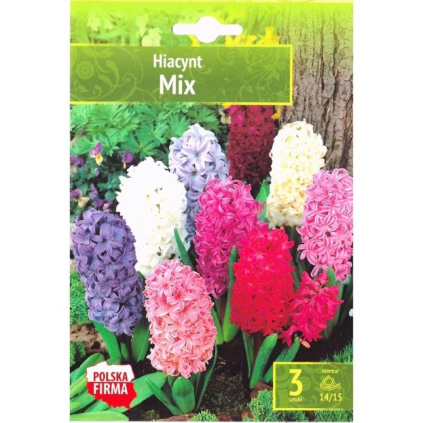 Hyacintmix