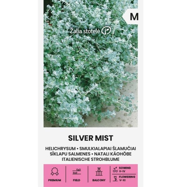 Pieni hopeaköynnös