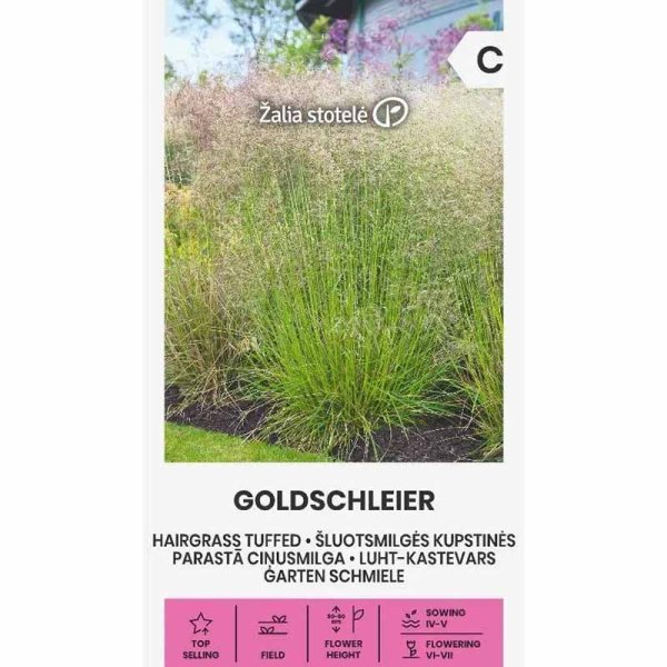 Tupsukattara 'Goldschleier'