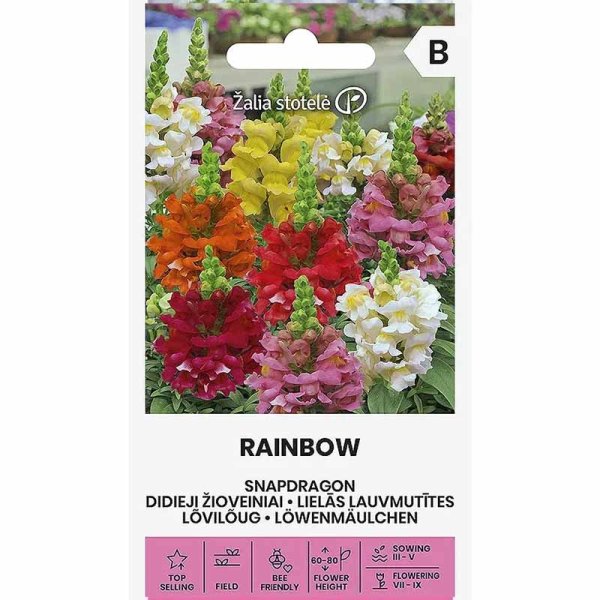 Leijonankita 'Rainbow'