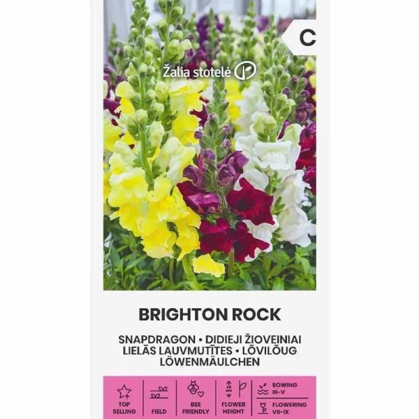 Leijonankita 'Brighton Rock'