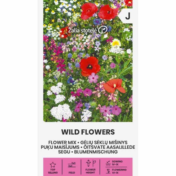 Kukkaseos 'Wild Flowers'