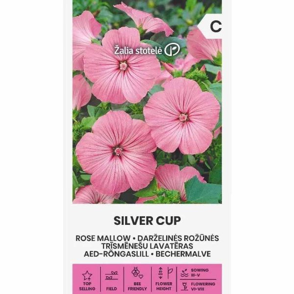 Kesämalva 'Silver cup'
