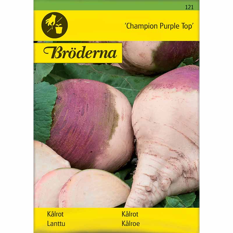 Nauris 'Champion Purple Top'