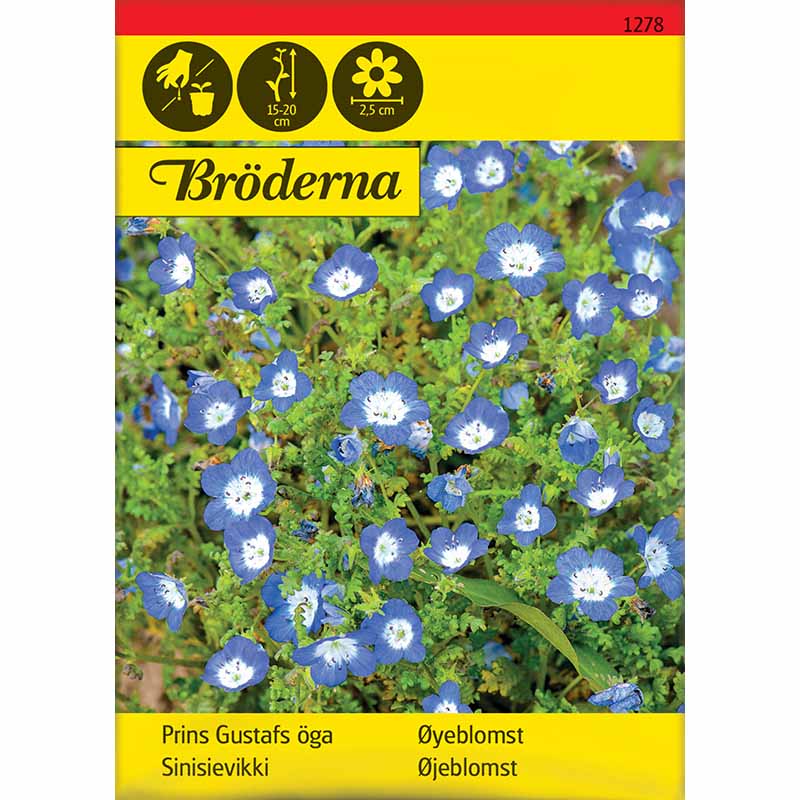 Prinssi Gustafin silmä