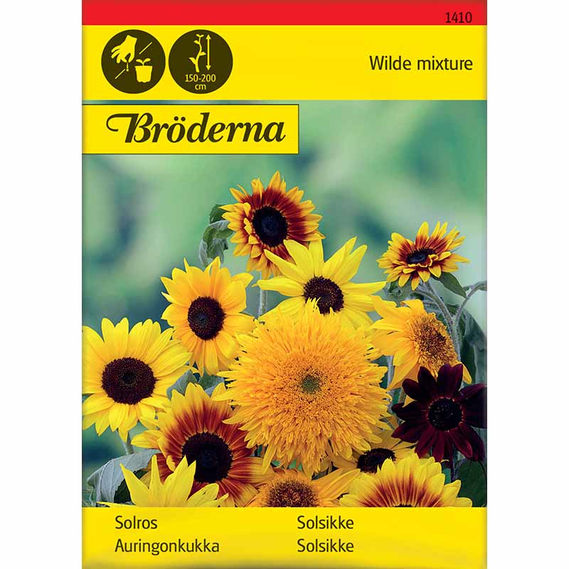 Auringonkukka sekoitus