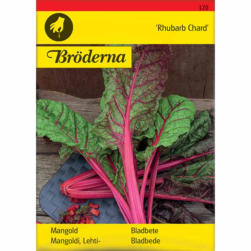 Mangoldi 'Rhubarb Chard'