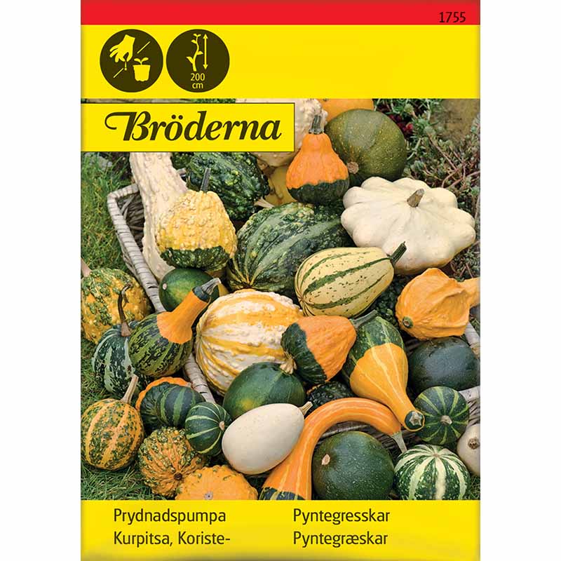 Koristekurpitsa, sekoitus