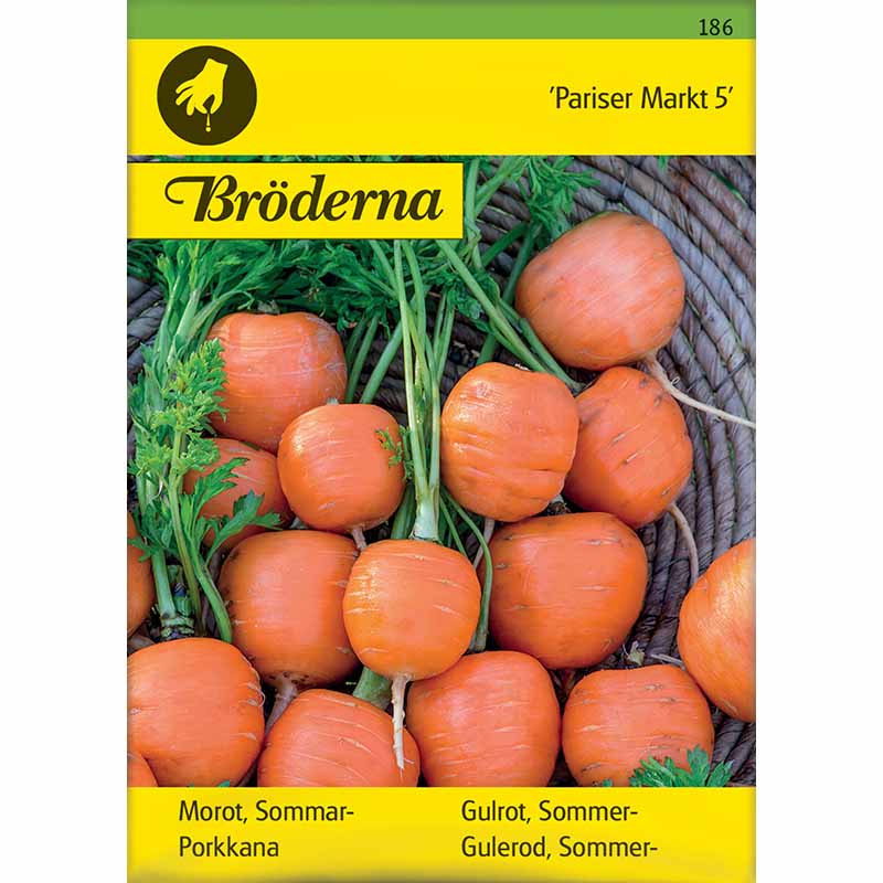 Kesäporkkana 'Pariser Markt'