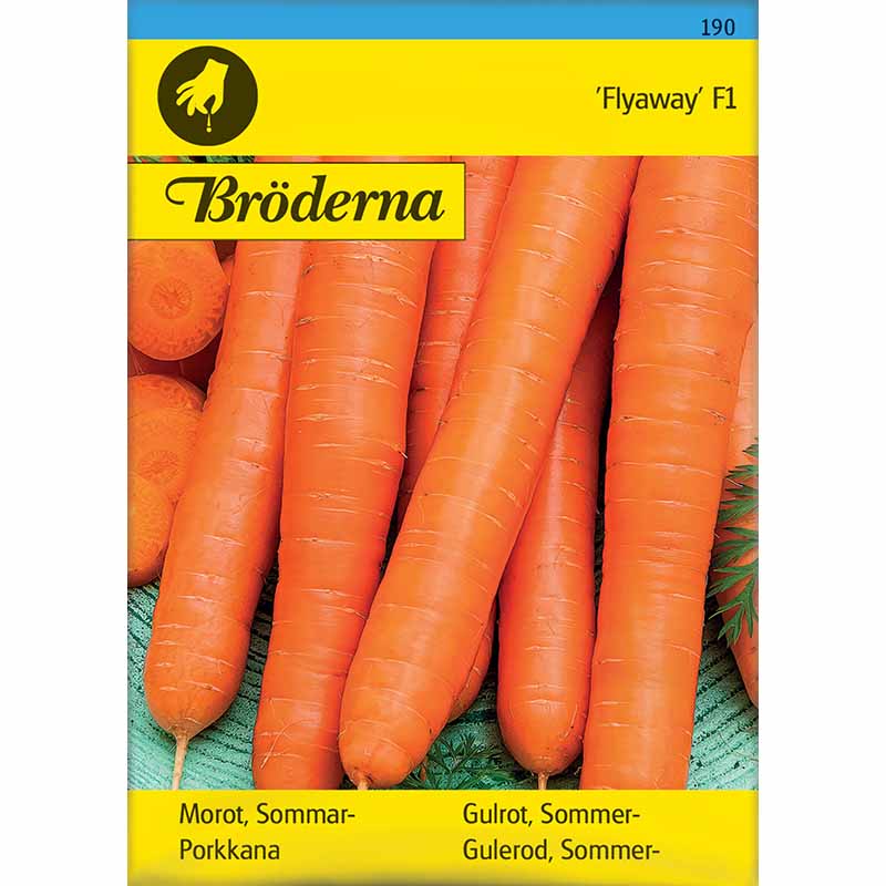 Porkkana 'Flyaway' F1