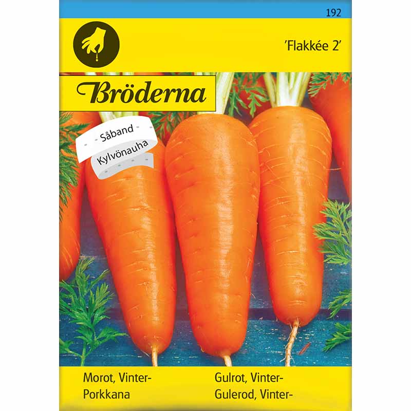 Talviporkkana 'Flakkée 2' Siemennauha